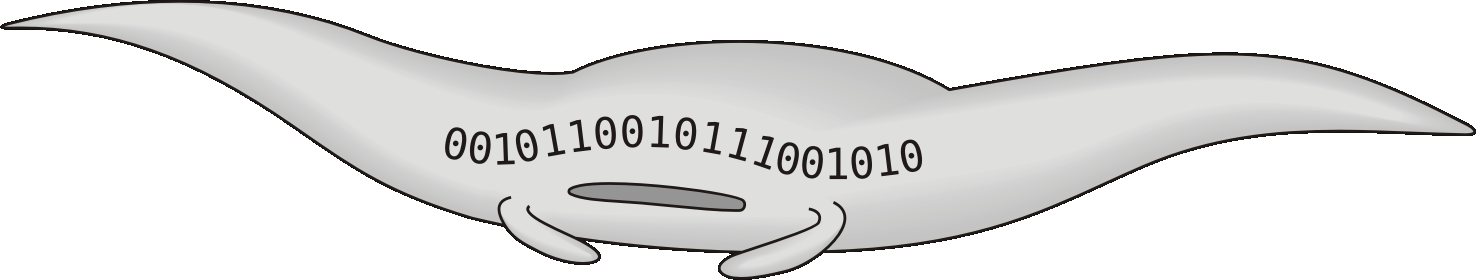 Bytefly